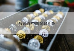 殷晓峰中国金融期货