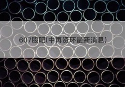 607股吧(中再资环最新消息)
