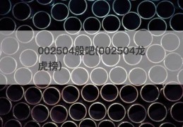 002504股吧(002504龙虎榜)