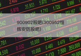 900902股吧(300952恒辉安防股吧)