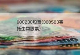 600230股票(300583赛托生物股票)