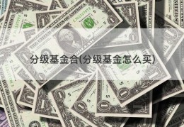 分级基金合(分级基金怎么买)