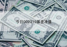 今日002319基金净值