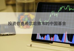 投资伯克希尔哈撒韦的中国基金