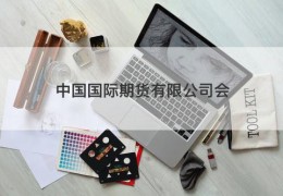 中国国际期货有限公司会