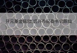 开元基金陈欣(绍兴市纪委书记陈灿)