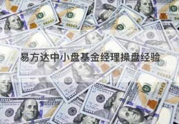 易方达中小盘基金经理操盘经验