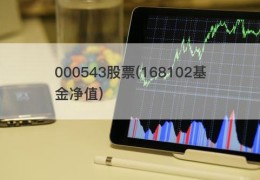 000543股票(168102基金净值)