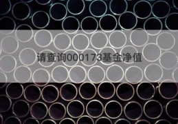 请查询000173基金净值