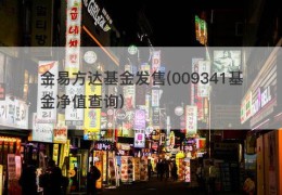 金易方达基金发售(009341基金净值查询)