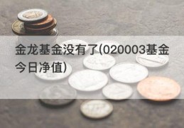 金龙基金没有了(020003基金今日净值)