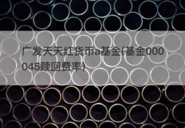 广发天天红货币a基金(基金000045赎回费率)