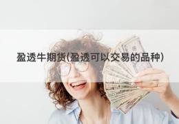 盈透牛期货(盈透可以交易的品种)