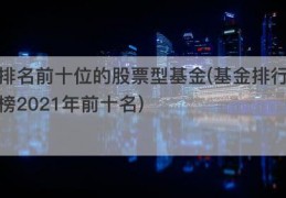 排名前十位的股票型基金(基金排行榜2021年前十名)