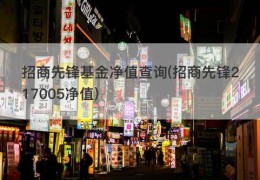招商先锋基金净值查询(招商先锋217005净值)