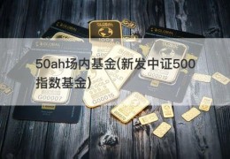 50ah场内基金(新发中证500指数基金)