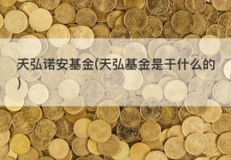 天弘诺安基金(天弘基金是干什么的)