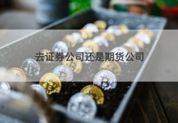 去证券公司还是期货公司