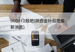 000812股吧(陕西金叶股吧最新消息)