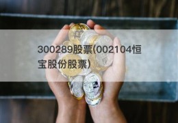 300289股票(002104恒宝股份股票)