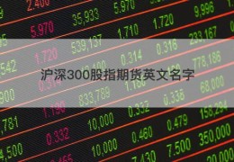 沪深300股指期货英文名字
