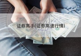 证券高手(证券高速行情)