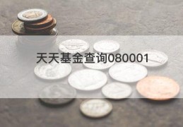 天天基金查询080001