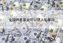 全国养老基金可以进入私募吗