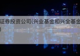证券投资公司(兴业基金和兴全基金)