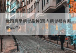 我国最早期货品种(国内期货都有哪些品种)