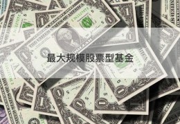最大规模股票型基金