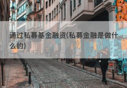 通过私募基金融资(私募金融是做什么的)