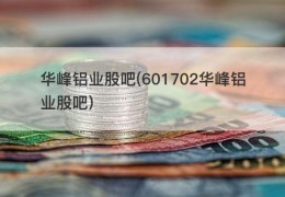 华峰铝业股吧(601702华峰铝业股吧)