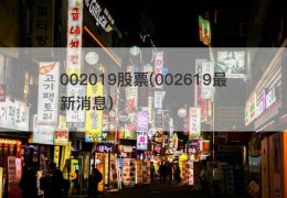 002019股票(002619最新消息)
