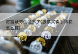 财富证券佣金多少(股票买卖手续费怎么算)