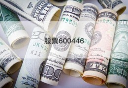 股票600446