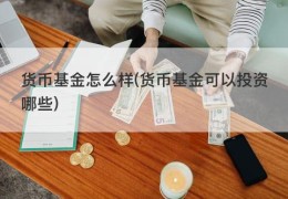 货币基金怎么样(货币基金可以投资哪些)