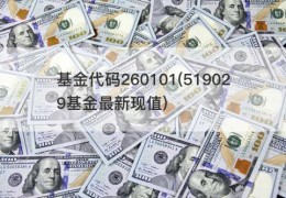 基金代码260101(519029基金最新现值)