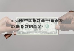 msci有中国指数基金(追踪399396指数的基金)