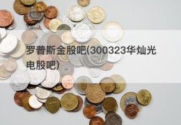 罗普斯金股吧(300323华灿光电股吧)