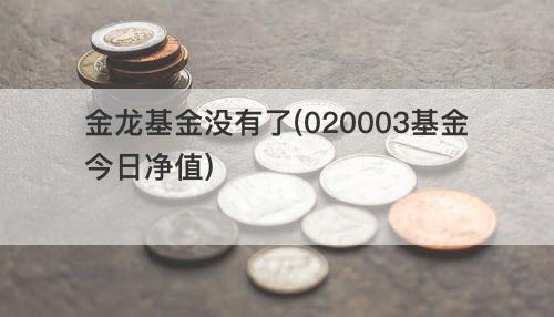 金龙基金没有了(020003基金今日净值) 金龙基金没有了(020003基金今日净值)
