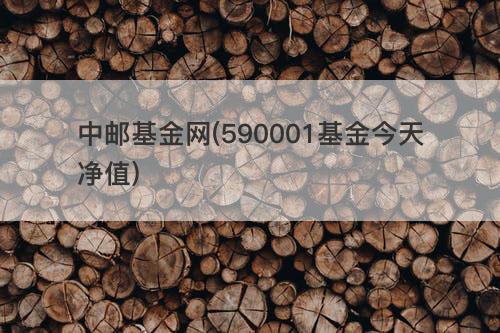 中邮基金网(590001基金今天净值) 中邮基金网(590001基金今天净值)