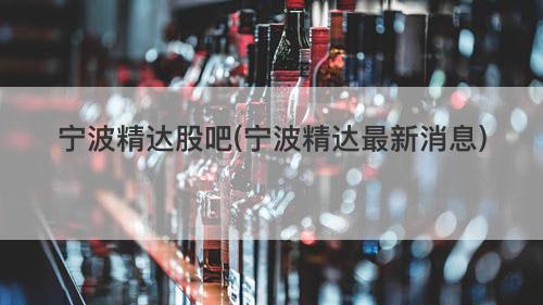 宁波精达股吧(宁波精达最新消息) 宁波精达股吧(宁波精达最新消息)