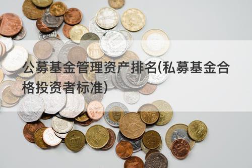 公募基金管理资产排名(私募基金合格投资者标准) 公募基金管理资产排名(私募基金合格投资者标准)