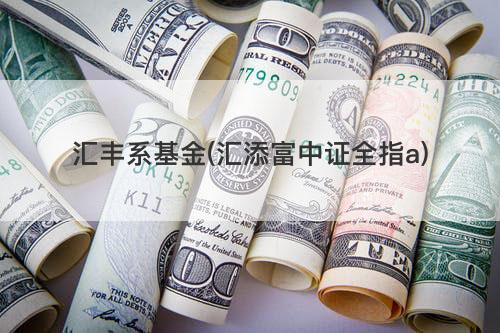 汇丰系基金(汇添富中证全指a) 汇丰系基金(汇添富中证全指a)