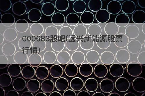 000683股吧(远兴新能源股票行情) 000683股吧(远兴新能源股票行情)