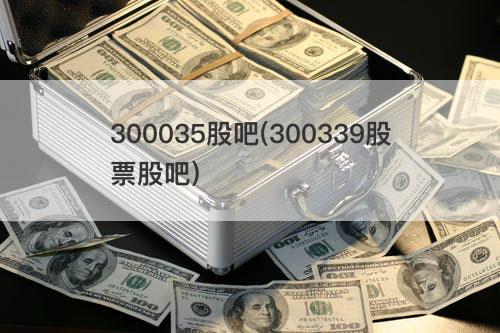 300035股吧(300339股票股吧) 300035股吧(300339股票股吧)