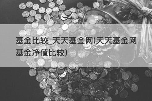 基金比较_天天基金网(天天基金网基金净值比较) 基金比较_天天基金网(天天基金网基金净值比较)