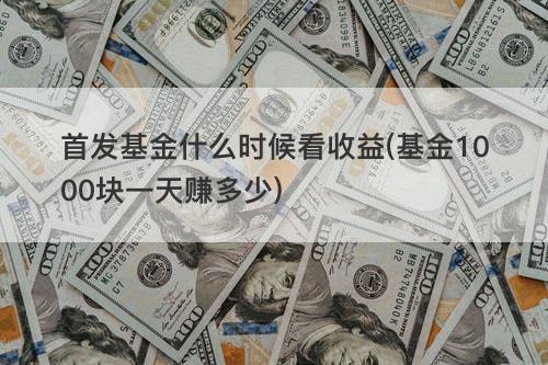 首发基金什么时候看收益(基金1000块一天赚多少) 首发基金什么时候看收益(基金1000块一天赚多少)