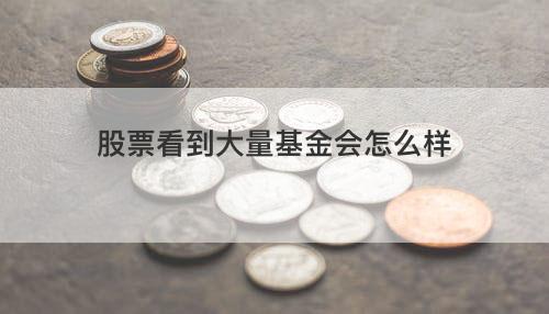 股票看到大量基金会怎么样 股票看到大量基金会怎么样